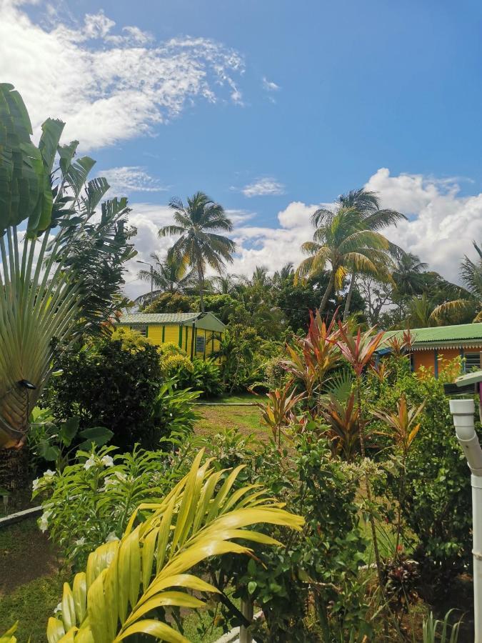 Au Coeur Du Papillon Vila Goyave Exterior foto