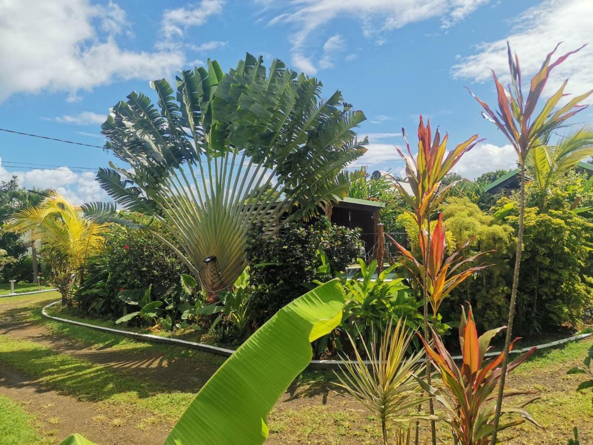 Au Coeur Du Papillon Vila Goyave Exterior foto